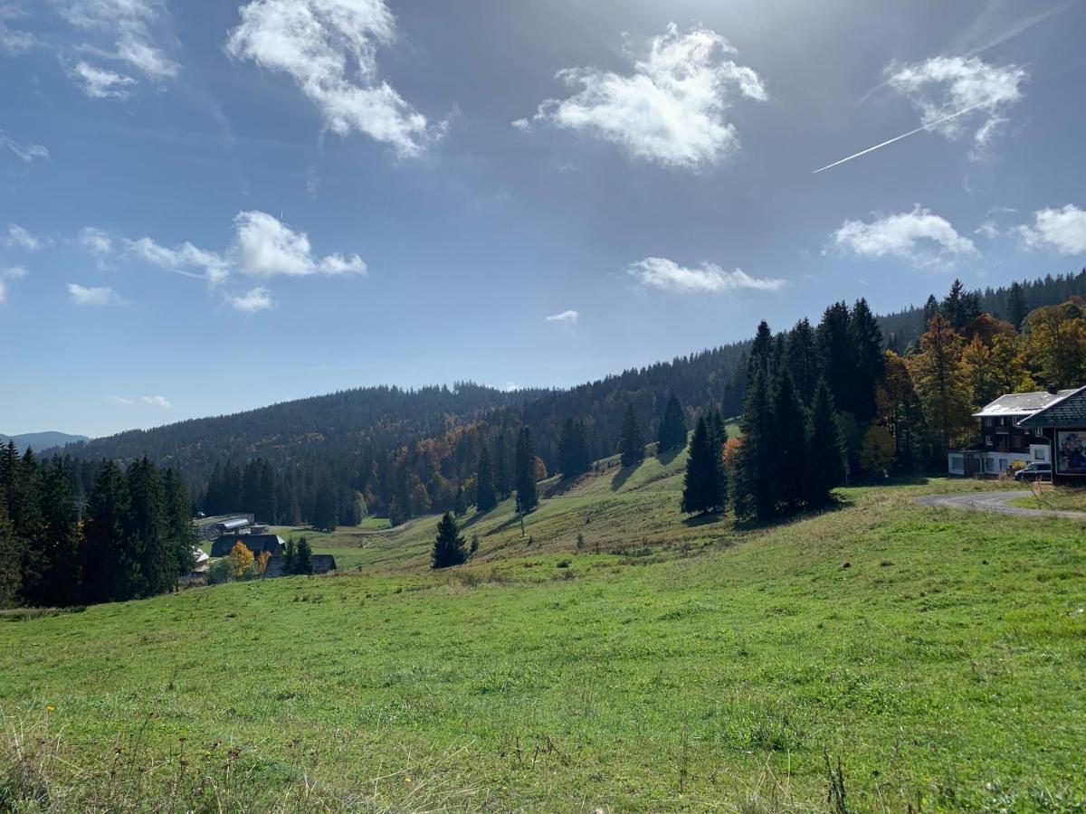 Ferienwohnung Feldberg Schwarzwald Exterior photo